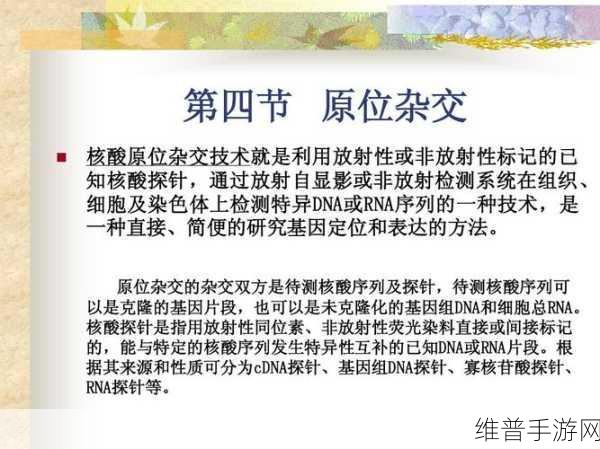 rnascope原位杂交：1. ＂探索RNA原位杂交技术在基因表达研究中的新应用