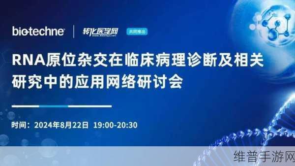 rnascope原位杂交：1. ＂探索RNA原位杂交技术在基因表达研究中的新应用