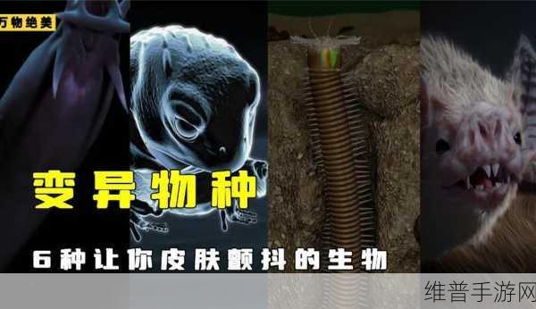 成为虫子的产卵工具：1. 探索虫子的繁殖秘密：产卵工具的奇妙世界