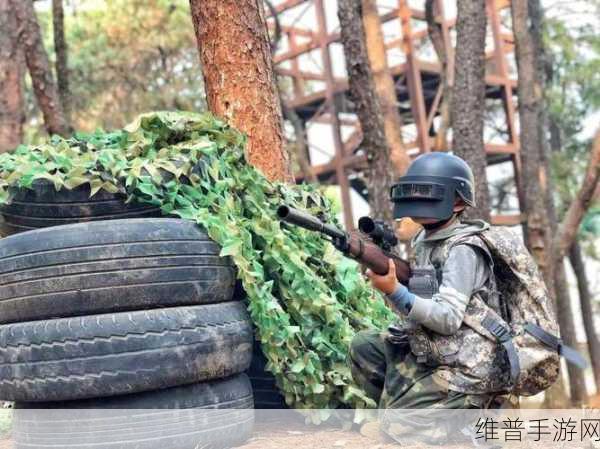 csgo真人高清版观看：1. ＂高清视界：CSGO真人版带你领略极致战斗体验