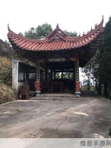 九牛电影天堂高分作品超多:好的,以下是一些基于九牛电影天堂高分作品拓展出的新