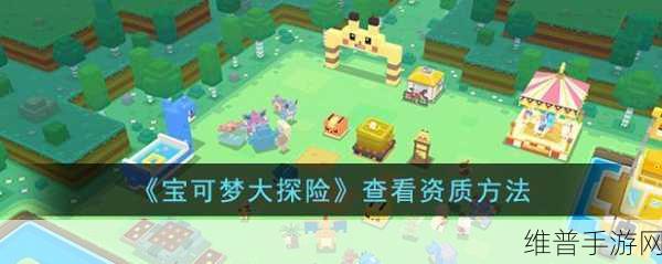 宝可梦大探险深度攻略,宠物资质查看与评估全解析