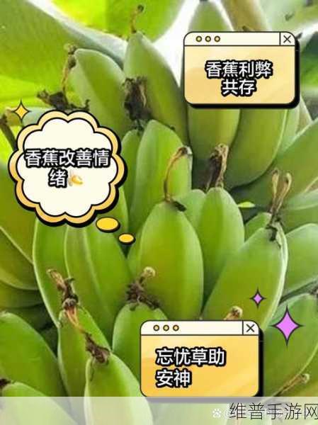 香蕉和忘忧草对焦虑的影响成片已正式发布：香蕉与忘忧草：天然抗焦虑的双重疗法研究