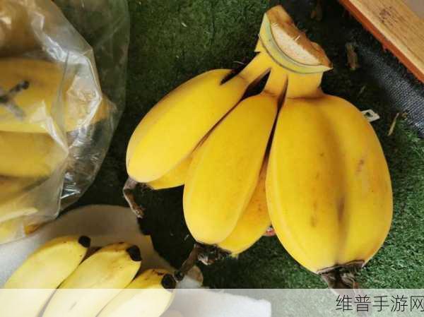 香蕉和忘忧草对焦虑的影响:1. 香蕉与忘忧草:缓解焦虑的天然选择