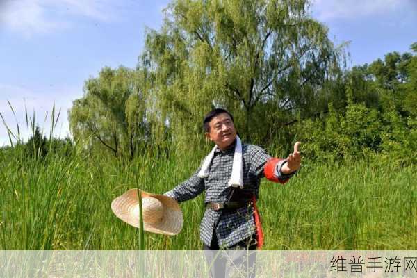 老狼老狼芦苇芭蕉：1. 老狼传说：芦苇荡中的智慧与勇气