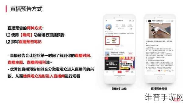 手游攻略，揭秘小红书流量高峰，助力手游公司精准推广