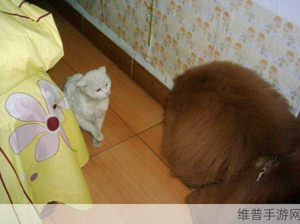 人狗大战JAVA代码实现：1.人狗大战：智勇双全的对决