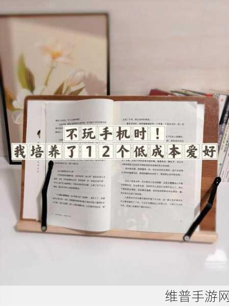 乖我们换个姿态最火一句背后：1. 乖，我们换个姿态，重新定义生活方式
