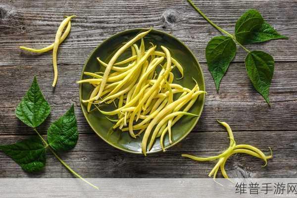 小尾巴txt金银花原文：当然可以！以下是根据《小尾巴》中的金银花主题拓展出的新标题，均不少于10个字：