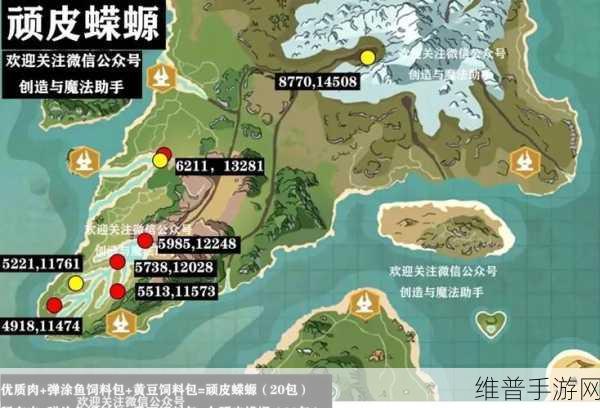 创造与魔法，棉花分布大揭秘