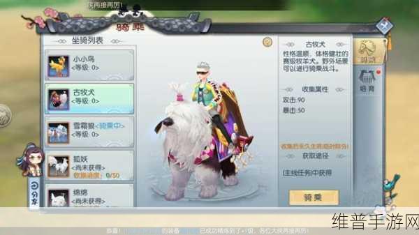 武林外传文武双全坐骑大礼包，揭秘开出的神秘属性