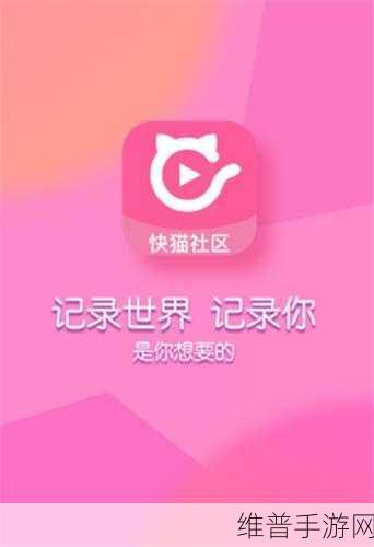 快猫网站换成多少了：1. 快猫网站最新价格变动解析与分析