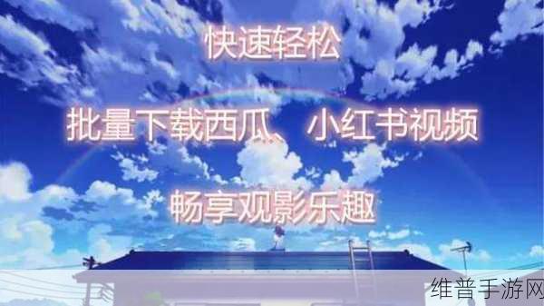 9.1视频极速版下载：1. 快速下载9.1版本，畅享视频无限精彩！
