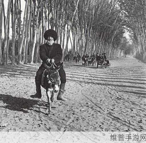 小毛驴影视回顾经典：1. 小毛驴影视：经典电影背后的故事与启示