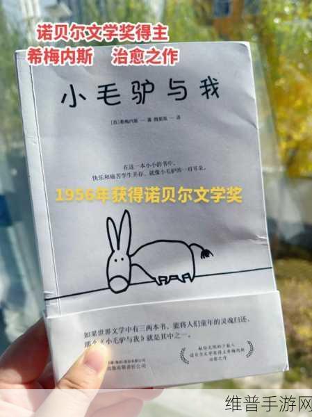 小毛驴影视回顾经典：1. 小毛驴影视：经典电影背后的故事与启示