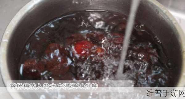 滋味1V2商洛：1. 《滋味1V2：探索商洛的美食文化之旅