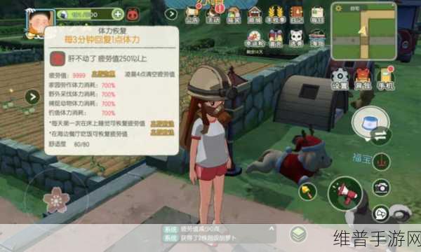 小森生活矿洞三层必备抗性服装指南