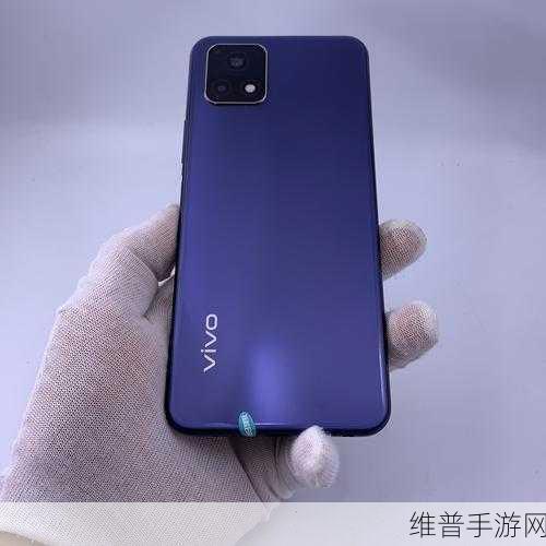 一级成色好的y31s标准版：根据一级成色好的Y31S标准版，您可以考虑以下