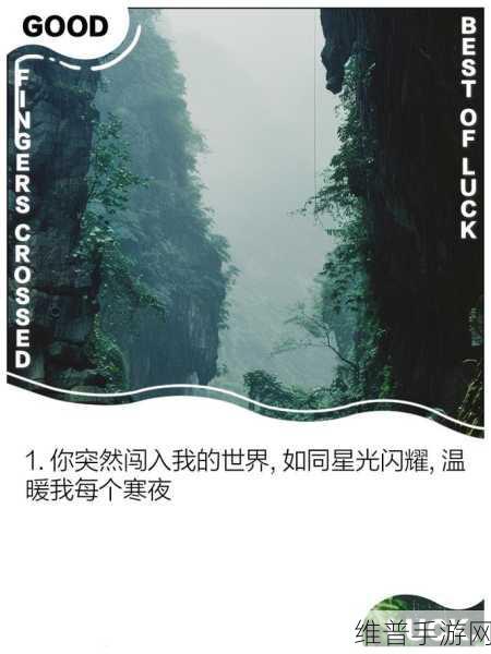 临时起意1v1：1. 突发奇想：一对一挑战的无限可能