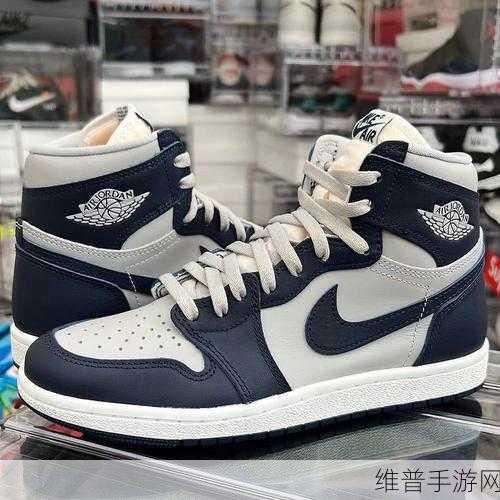 做AJ过程大全图片：1. ＂掌握AJ过程：从基础到精通的全面指南