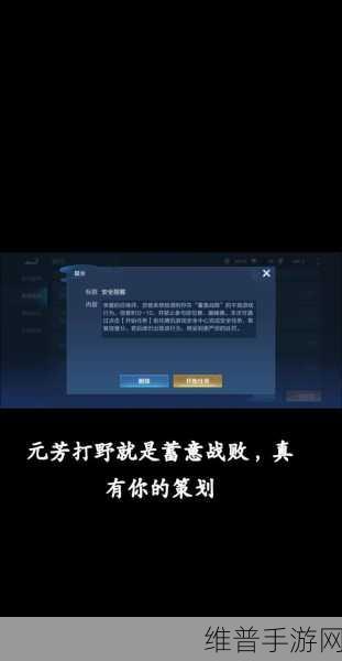 王者荣耀信誉积分查询全攻略，你必须知道的那些事儿