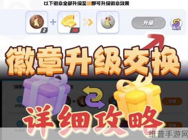 宝可梦大集结，徽章效果及获取全面解析