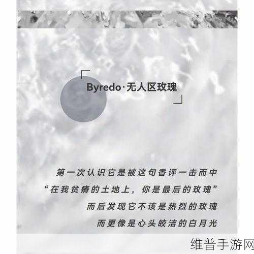 无人区编码6229Jm观天下事流量暴跌：1. 无人区编码6229Jm：流量暴跌背后的真相