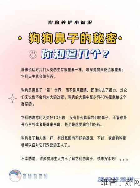 知道错了请主人教训：1. 纠正错误的勇气：向主人学习的重要性