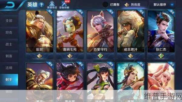 王者荣耀职业类型全解析，精准定位，制胜关键