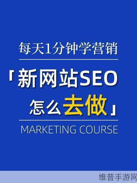 SEO短视频网页入口：1. ＂如何通过短视频提升网站SEO排名的策略
