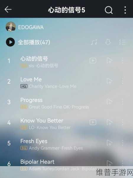 老奶奶bgmbgm人：1. 老奶奶的bgmbgm时光：记忆中的旋律和回忆