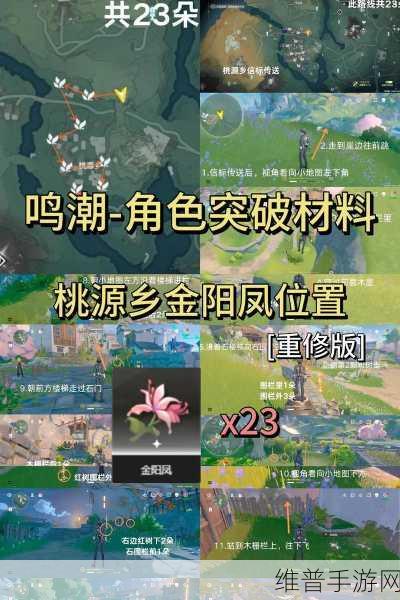 鸣潮手游，椿和相里抽取价值深度剖析