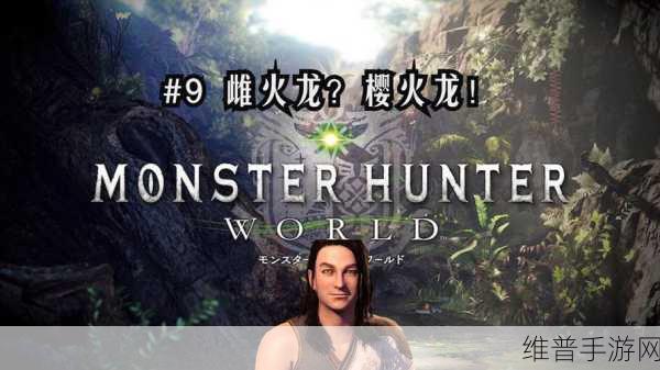 怪物猎人2G雌火龙与雄火龙，哪个更易于征服？