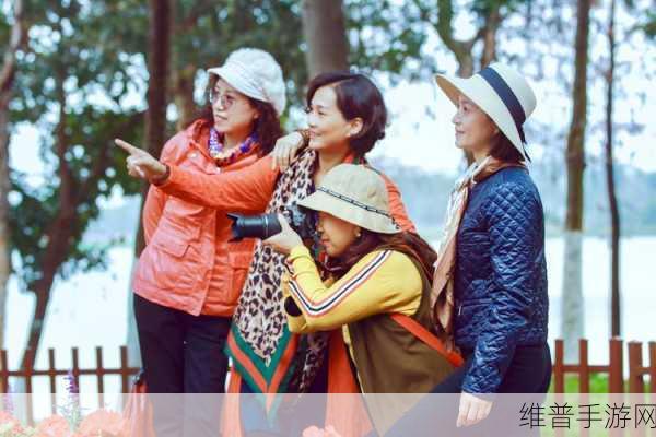 东北大妈：1. 东北大妈的欢乐生活：岁月静好，笑声常在