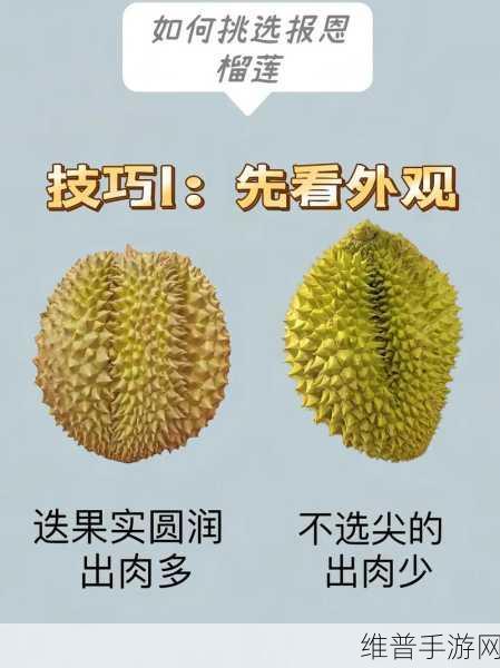 茄子丝瓜向日葵黄瓜榴莲鸭脖：1. 多彩蔬果的美味探索：从茄子到榴莲