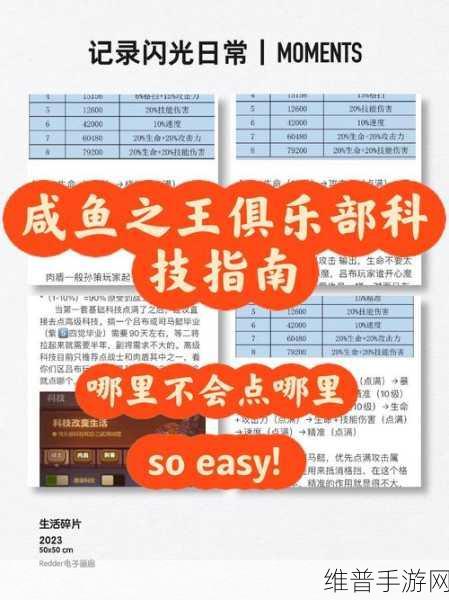 咸鱼之王俱乐部科技，游戏体验升级的关键密码