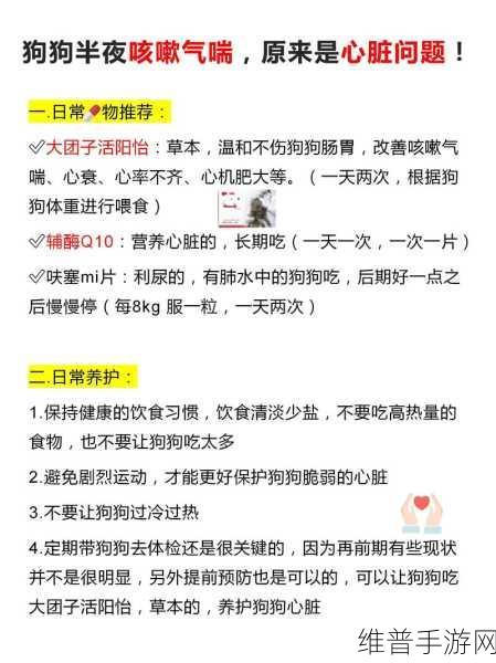 人狗胶配方大全狗狗使用：1. 狗狗健康饮食：人狗胶配方全解析