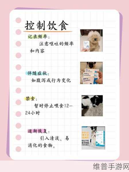 人狗胶配方大全狗狗使用:1. 狗狗健康饮食:人狗胶配方全解析