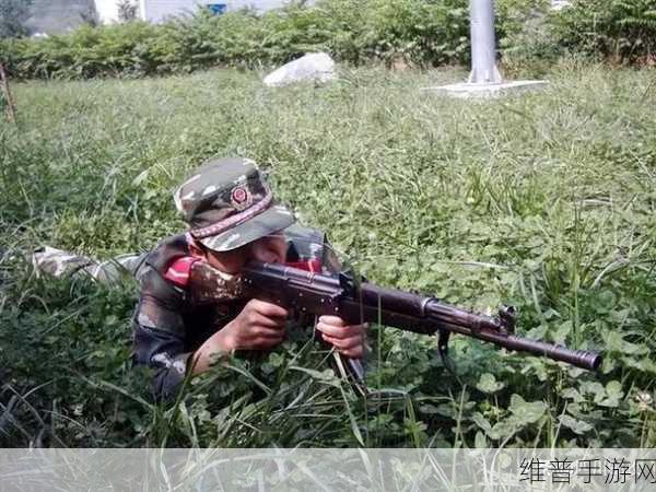 武警小哥gry2022：1. 武警小哥GRY2022：勇者无畏，守护家园