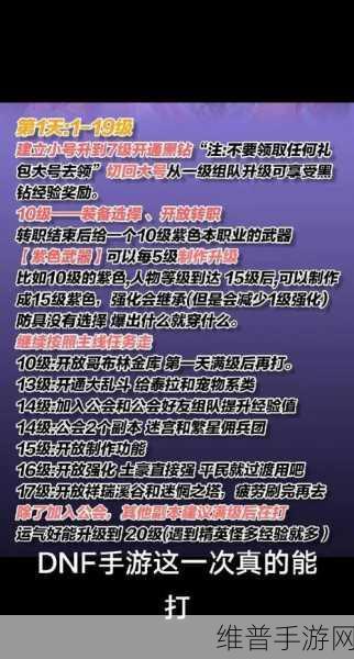 地下城与勇士手游攻略，深度解析黑钻特权及其时效性