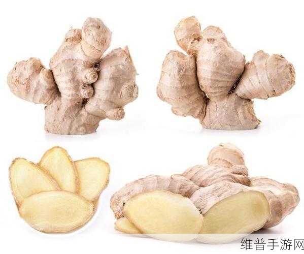 因为不吃姜被罚夹一年生姜：1. 一年生姜的惩罚背后：饮食习惯与健康的关系