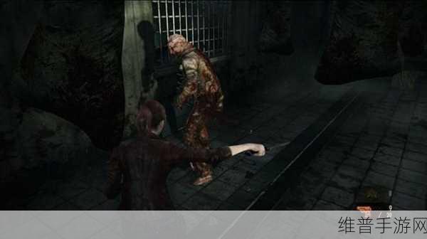 NS 生化危机启示录 2 玻璃眼获取攻略大揭秘