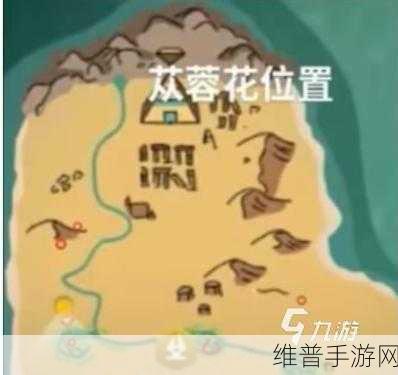 探索创造与魔法交易所，位置详解与交易攻略