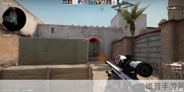 一位普通大妈-55岁大妈玩CSGO:1. “55岁大妈逆袭:CSGO游戏中的奇迹人生”