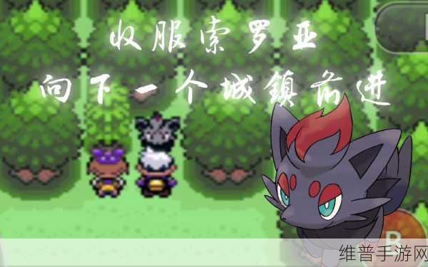 浓毛BwBwBwBwBw：1. 浓毛猫咪的奇幻冒险：探寻温馨家园