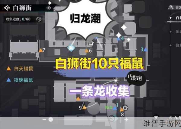 归龙潮浦城区福鼠出没地点大起底