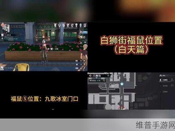 归龙潮浦城区福鼠出没地点大起底