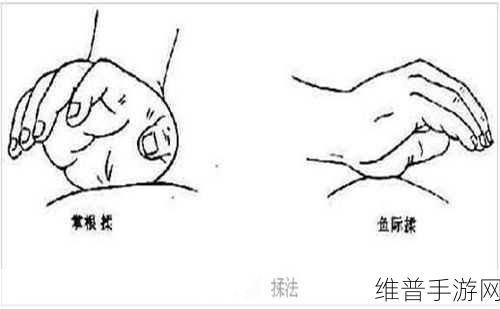 床上吸功和夹功怎么练：1. 床上吸功与夹功的综合练习方法
