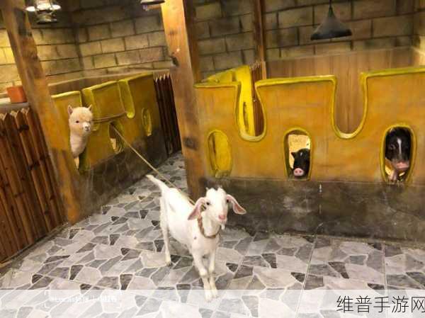 ZooZoomconference：1. ＂探索动物世界的奥秘：ZooZoom会议精彩回顾