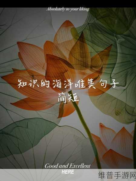 妈妈先是拒绝后是迎合的句子：1. 妈妈的心情变化：从拒绝到接受的旅程